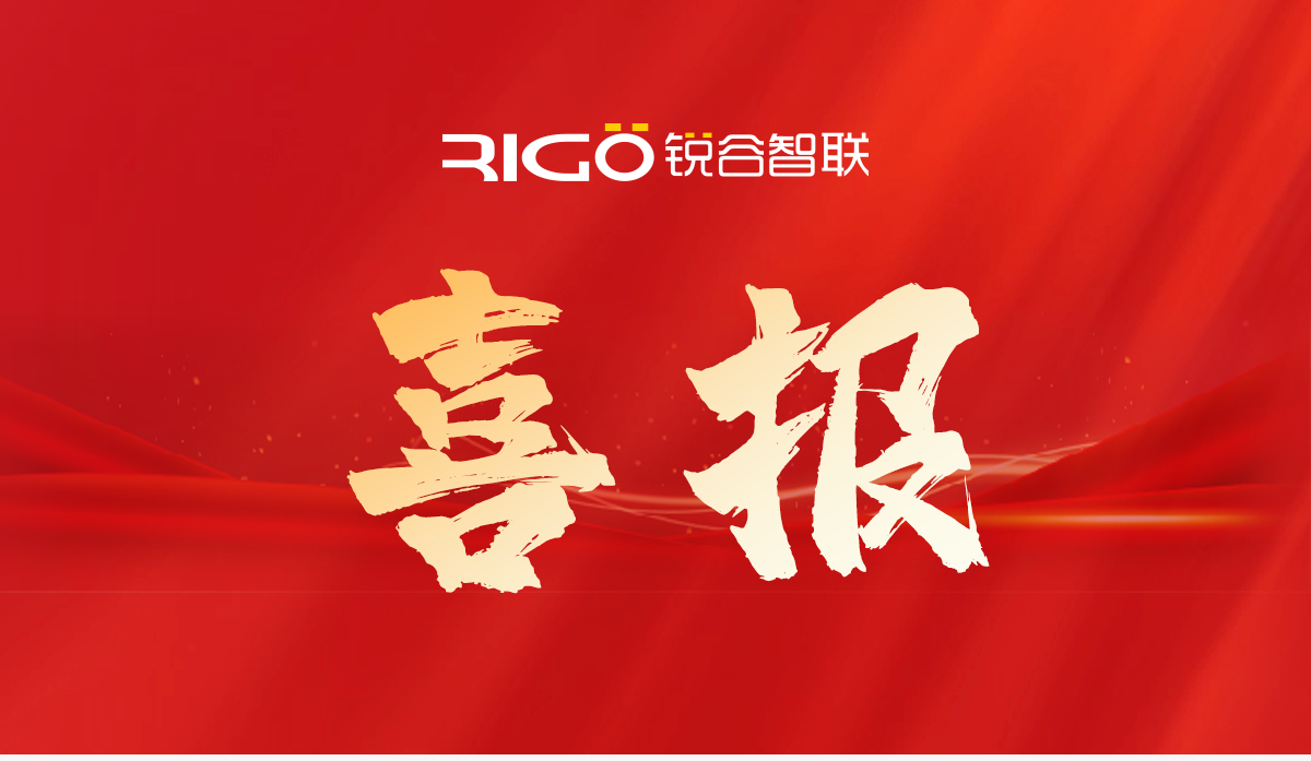 銳谷智聯(lián)喜獲2024年第二批軟件和新興數(shù)字產(chǎn)業(yè)政策資金支持！